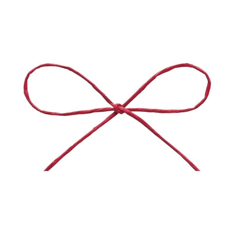 パピエール(約1mmΦ)全26色 46711 - リボン ラッピングの通販なら