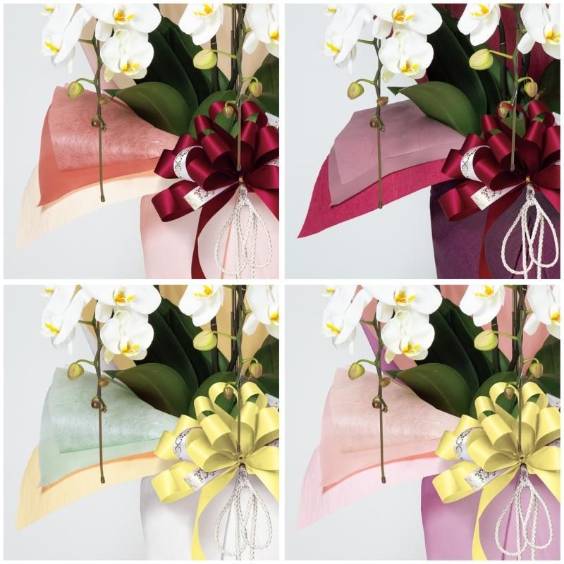 ビスクレープ(20M) 全28色 68570 - リボン ラッピングの通販なら