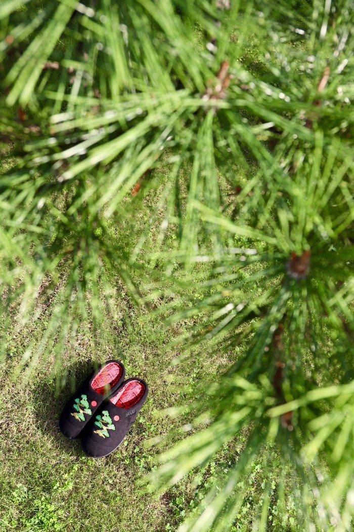 SUBU × NEW YOAKE POST - pine-tree for 乱痴気 - 乱痴気LANTIKI SUBU × NEW YOAKE POST - pine-tree for 乱痴気 - 乱痴気LANTIKI