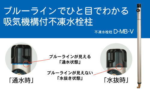 弁慶柱　選抜株　35cm 極太 園芸ネット本店｜サボテン：弁慶柱 （べんけいちゅう） 5号鉢植え の