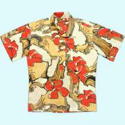 Aloha shirt ϥ ϥ磻 ץ륪С ΢ϻȤ ܥ Ⱦµ ʣ͡
