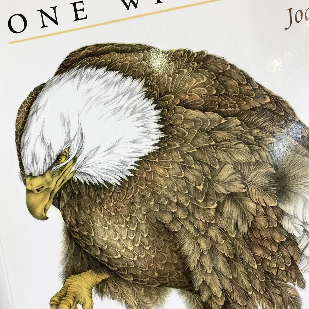 ONE WING'S GIFT/海外近代絵本 古本 洋書 - マメチコ Fashion ONE WING'S GIFT/海外近代絵本 古本 洋書 - マメチコ Fashion