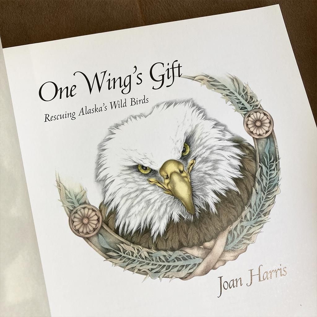 ONE WING'S GIFT/海外近代絵本 古本 洋書 - マメチコ Fashion ONE WING'S GIFT/海外近代絵本 古本 洋書 - マメチコ Fashion