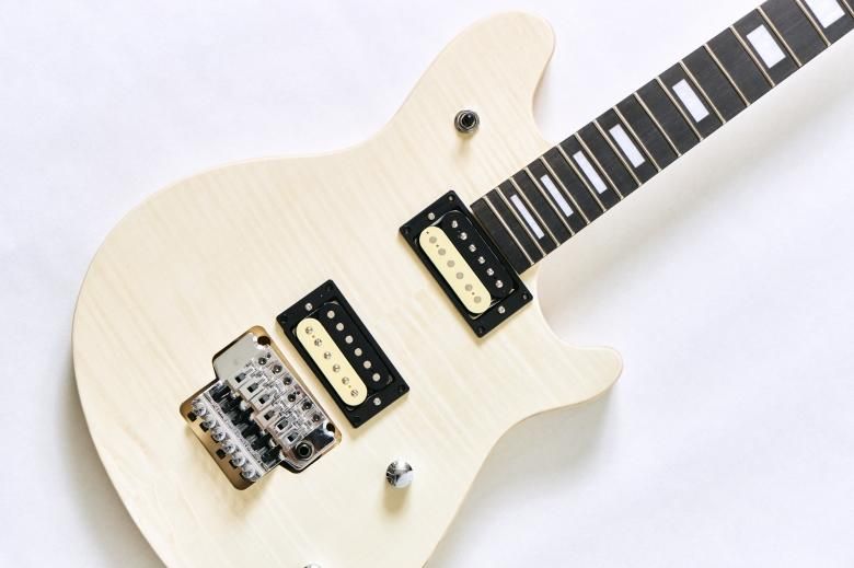 売切中】ウルフギャング Wolfgang TYPE DIYキット【DIYギター自作