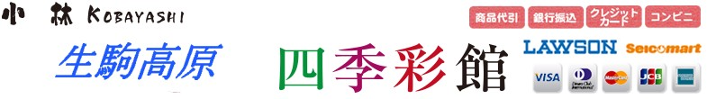 ⸶ ͵̴