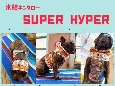 まーちゃん様の専用　ハンドメイドの犬服　フレブル まーちゃん様の専用 ハンドメイドの犬服 フレブル