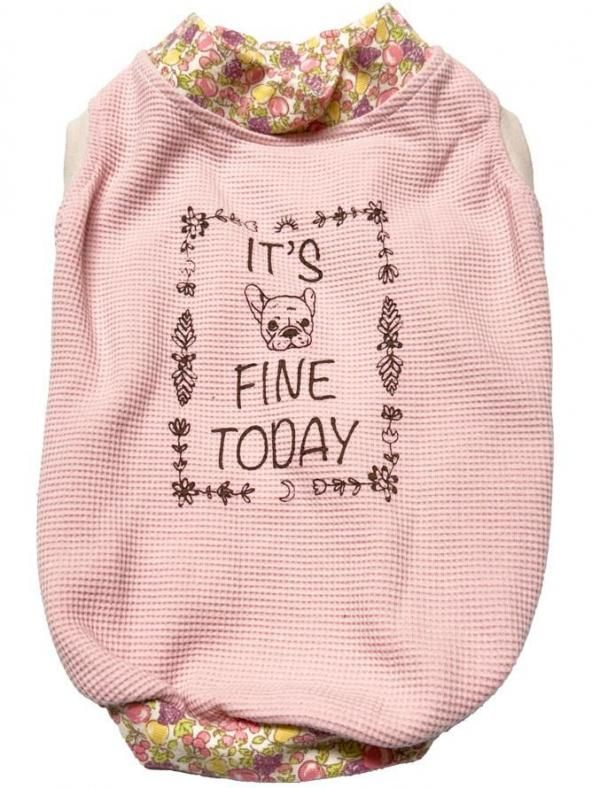 åեΡ꡼   IT'S FINE TODAY XL ԥ-2