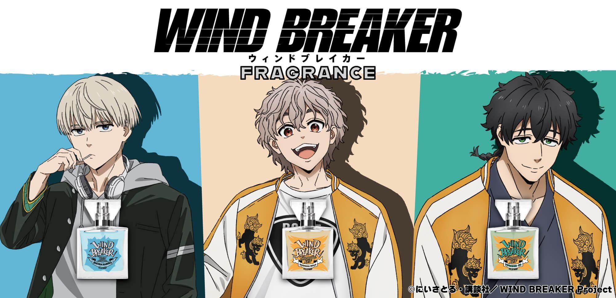 TV˥WIND BREAKER