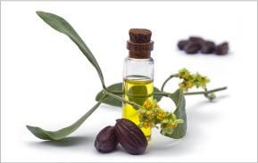 primaniacs】鬼滅の刃 コンディショナー 冨岡義勇