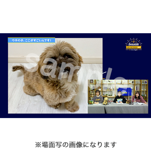 DVD,Blu-ray - シーサイドSHOP～シーサイド