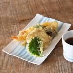 (miyama.) cecima-- 23.5cmƤʪ ʸ[ǻ]