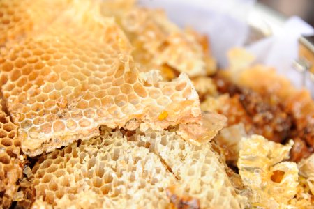 わたなべファームの日本ミツバチの百花蜜