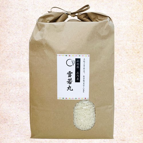 ơݡ5kg<img class='new_mark_img2' src='https://img.shop-pro.jp/img/new/icons1.gif' style='border:none;display:inline;margin:0px;padding:0px;width:auto;' />