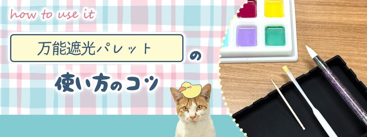 ȼ׸ꥳѥåȡ