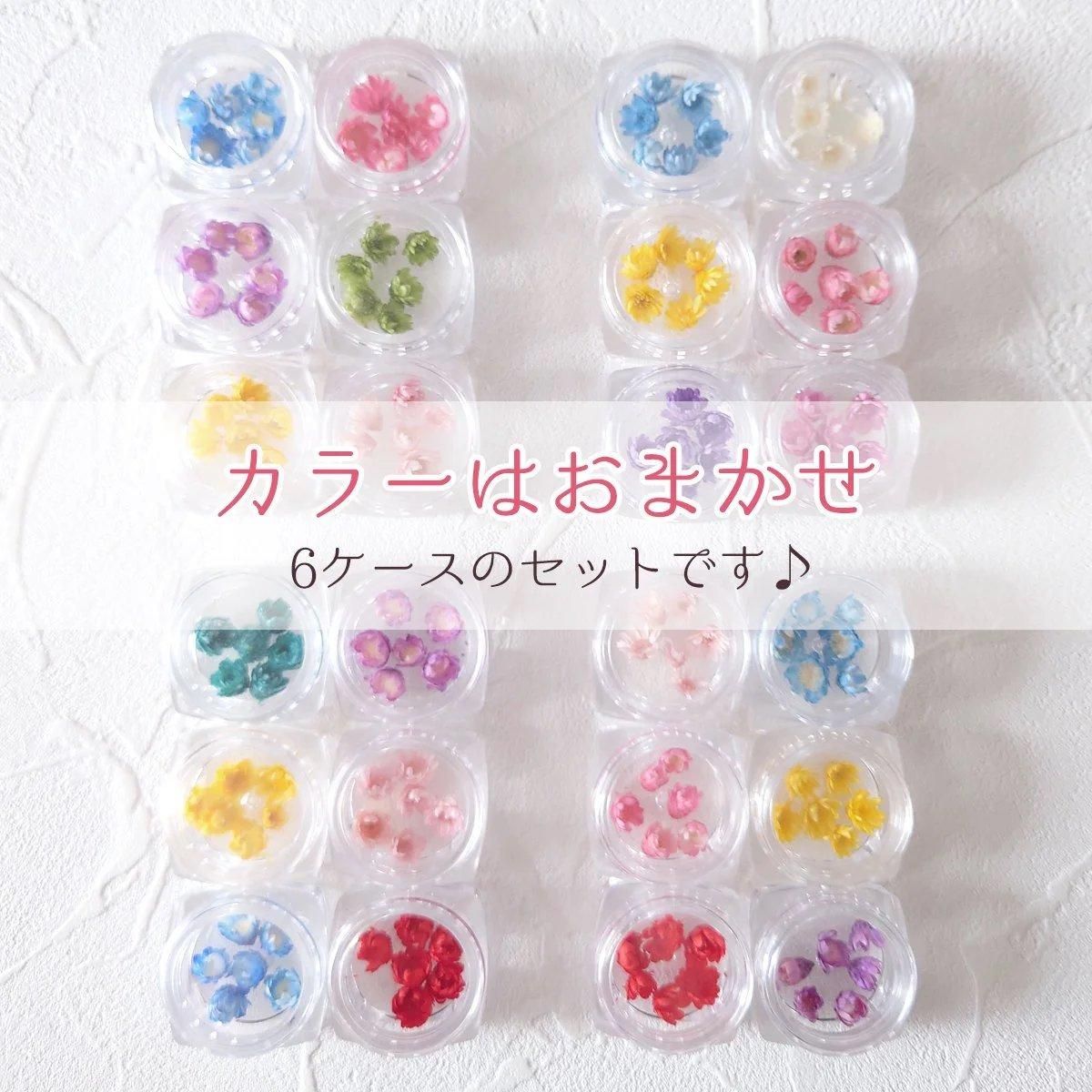 6色36輪 カラーお任せ(^^♪つぼみが可愛いスターフラワー サイズ 6色36輪 カラーお任せ(^^♪つぼみが可愛いスターフラワー サイズ