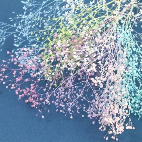 ハーバリウム 7本セット ドライフラワー インテリア 楽天市場】【平日7日以内に出荷】名入れ ハーバリウム S