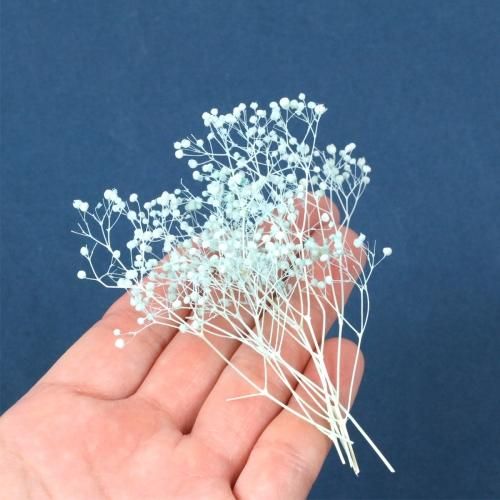 ハンドメイド・ドライフラワー* 雑貨好きによる雑貨好きのための