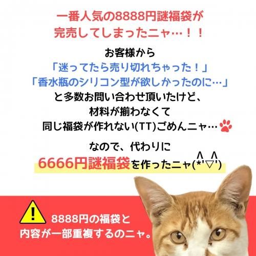 写真2