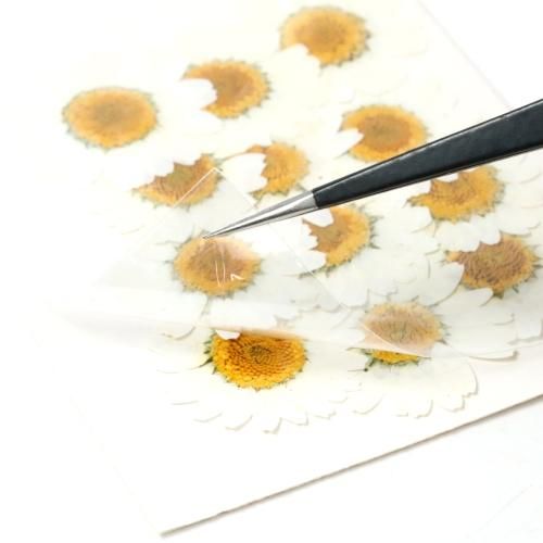 ノースポール ドライフラワー 花ｰ* オマケがたくさんついてくるパーツ