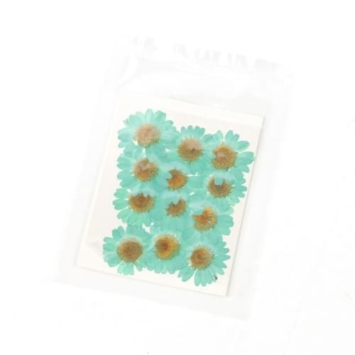 ノースポールｰ* オマケがたくさんついてくるパーツ屋さん* 隠れ工房