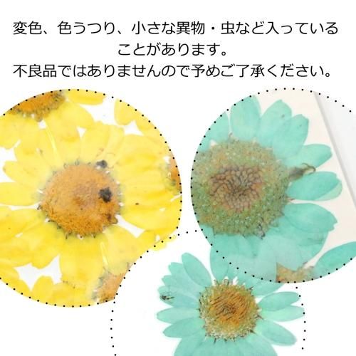 ノースポールｰ* オマケがたくさんついてくるパーツ屋さん* 隠れ工房