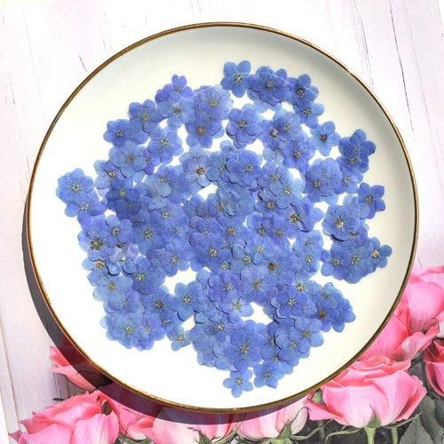 ワスレナグサ 約12枚ｰ* オマケがたくさんついてくるパーツ屋さん* 隠れ