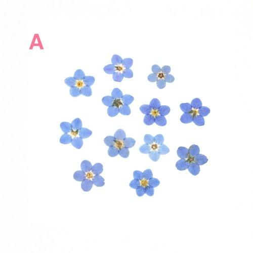 ワスレナグサ 約12枚ｰ* オマケがたくさんついてくるパーツ屋さん* 隠れ