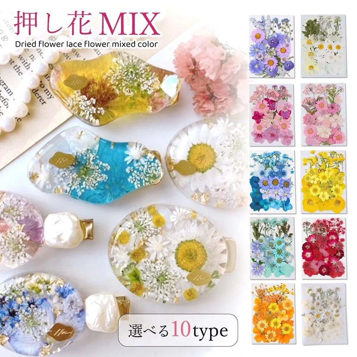 押し花MIX アソートセットｰ* オマケがたくさんついてくるパーツ屋さん