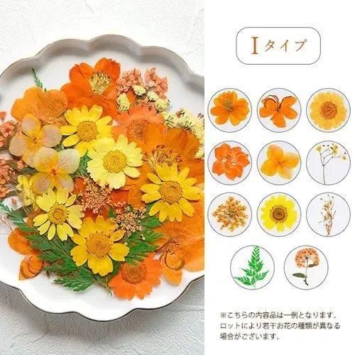 押し花MIX アソートセットー* オマケがたくさんついてくるパーツ 押し花MIX アソートセットー* オマケがたくさんついてくるパーツ