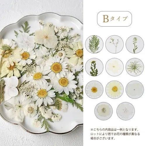 ラナンキュラスとおまかせ花材仕立て 春を感じるアレンジメント