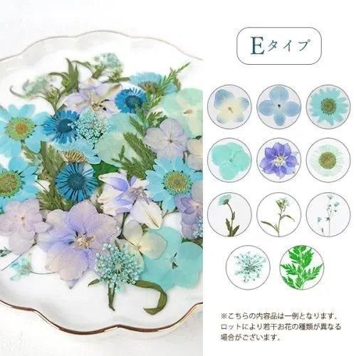 楽天市場】【最大10％OFF☆ネックレスSALE】ネックレス プチ
