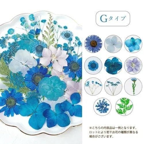 押し花MIX アソートセットー* オマケがたくさんついてくるパーツ 押し花MIX アソートセットー* オマケがたくさんついてくるパーツ
