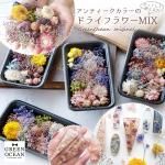 ڥɥ饤եۥåդǤ ƥ顼Υɥ饤եMIX ȥå ߥå 쥸  Ǻ ֺ ʪ Ǻ ѡ ϡХꥦ GreenOceanꥸʥ