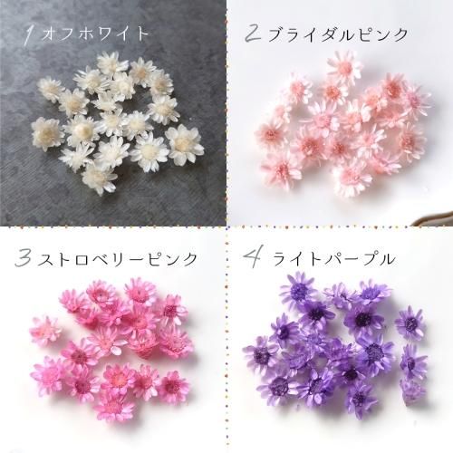スターフラワーMIX 16~18輪- 手作り雑貨屋 * 雑貨好きによる スターフラワーMIX 16~18輪- 手作り雑貨屋 * 雑貨好きによる