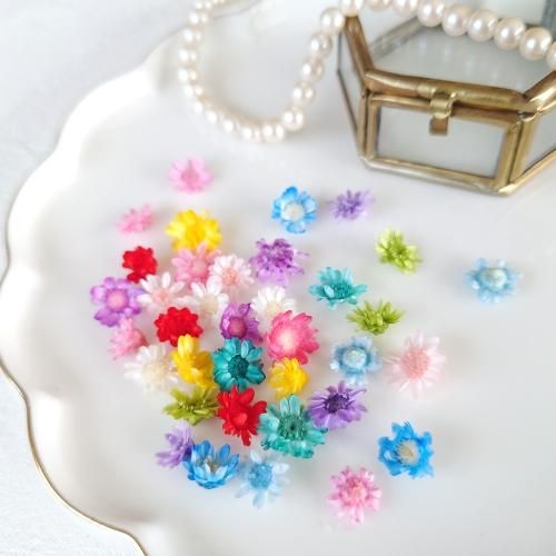 スターフラワーMIX 16～18輪- 手作り雑貨屋 * 雑貨好きによる雑貨好き