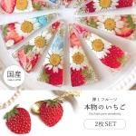 フルーツ - 本店｜UVレジン材料・ハンドメイド用パーツ専門店