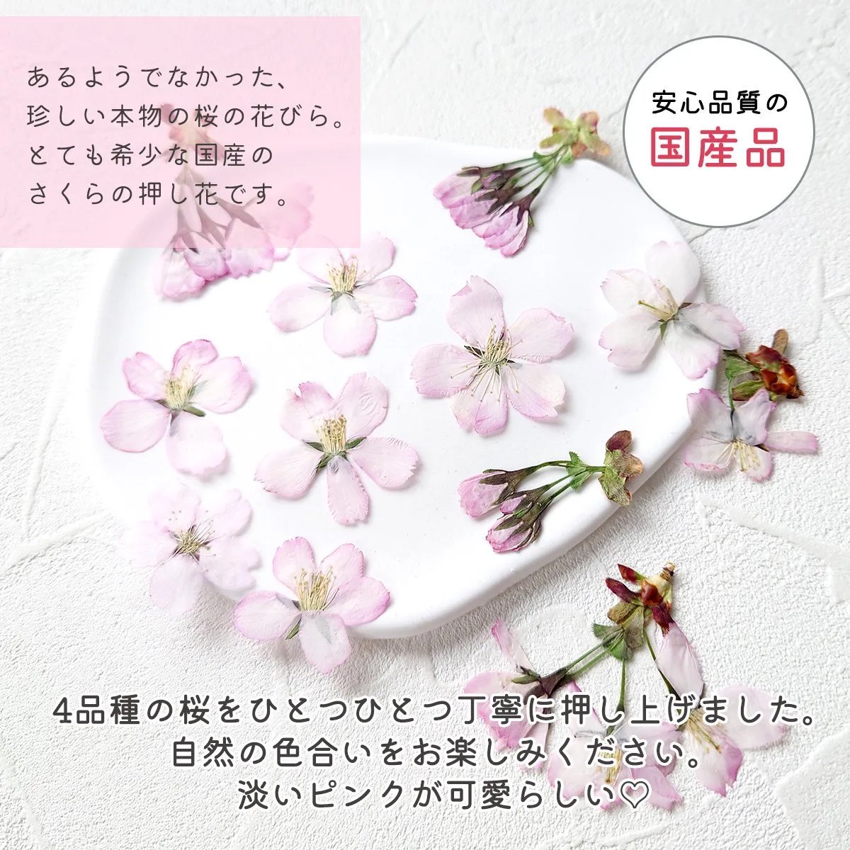 国産 桜の花セットｰ* オマケがたくさんついてくるパーツ屋さん* 隠れ