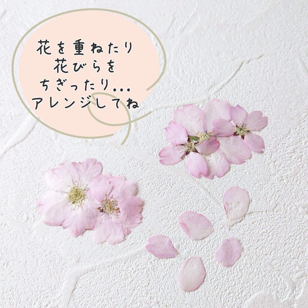 ひまうい様お取り置き　2/25まで　鳩(訳あり)　レジンヘアゴム　蕾　花　桜 180072133_o5.jpg?