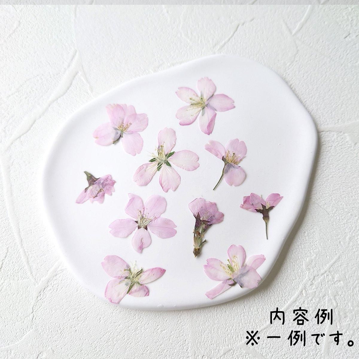 ひまうい様お取り置き　2/25まで　鳩(訳あり)　レジンヘアゴム　蕾　花　桜 180072133_o9.jpg?