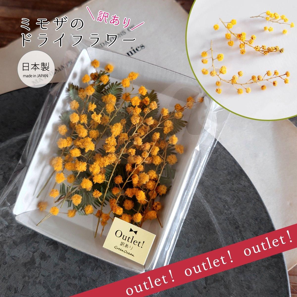 180325186.jpg?cmsp_timestamp=