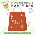 ʡޡۿ̸إܥ֤ˤ㡪ޤˤޤHAPPY BAGݸǭٱ Τڤʡ ͤ碌 å 㤤 UV쥸 LED쥸  ե ꥳ⡼ 