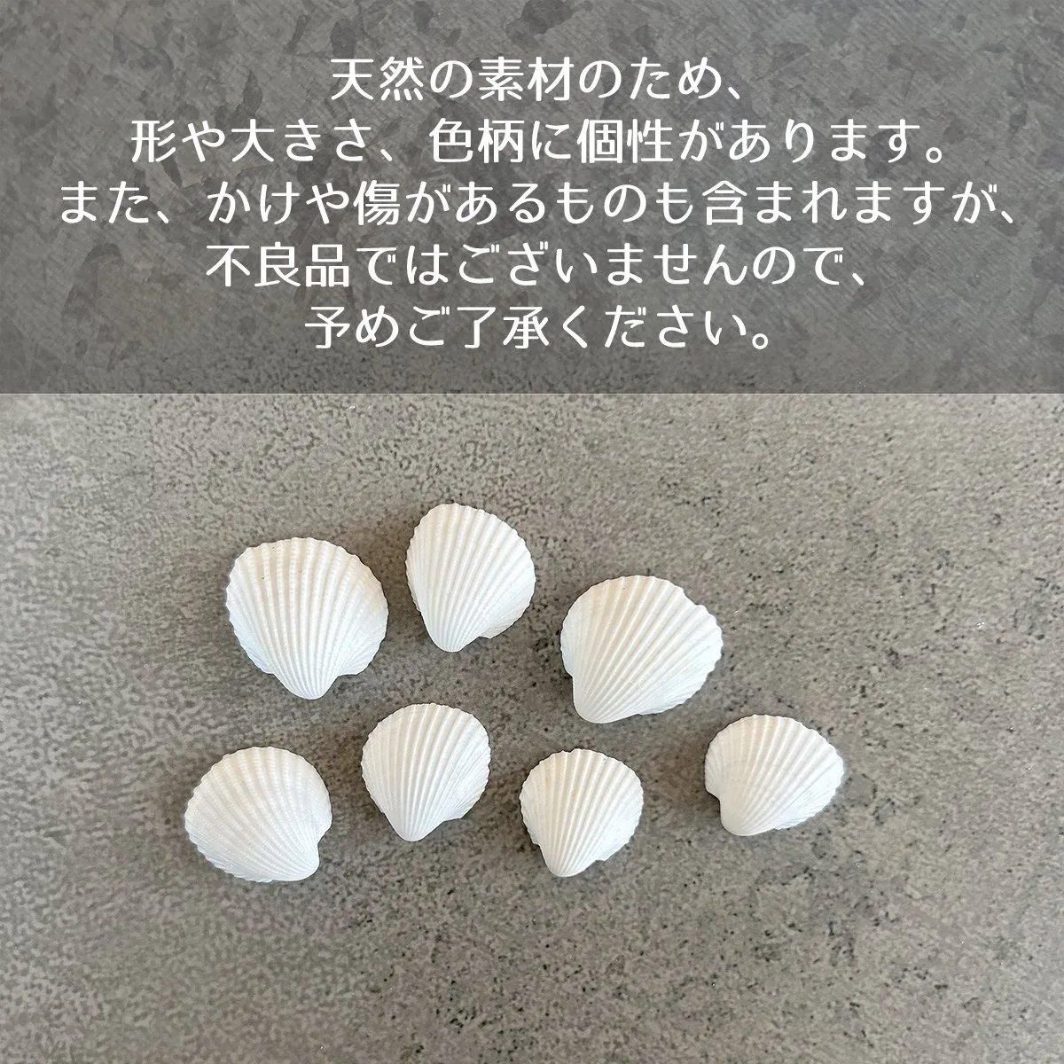 本物の小さな白い貝殻 - 手作り雑貨屋 * 雑貨好きによる雑貨好き