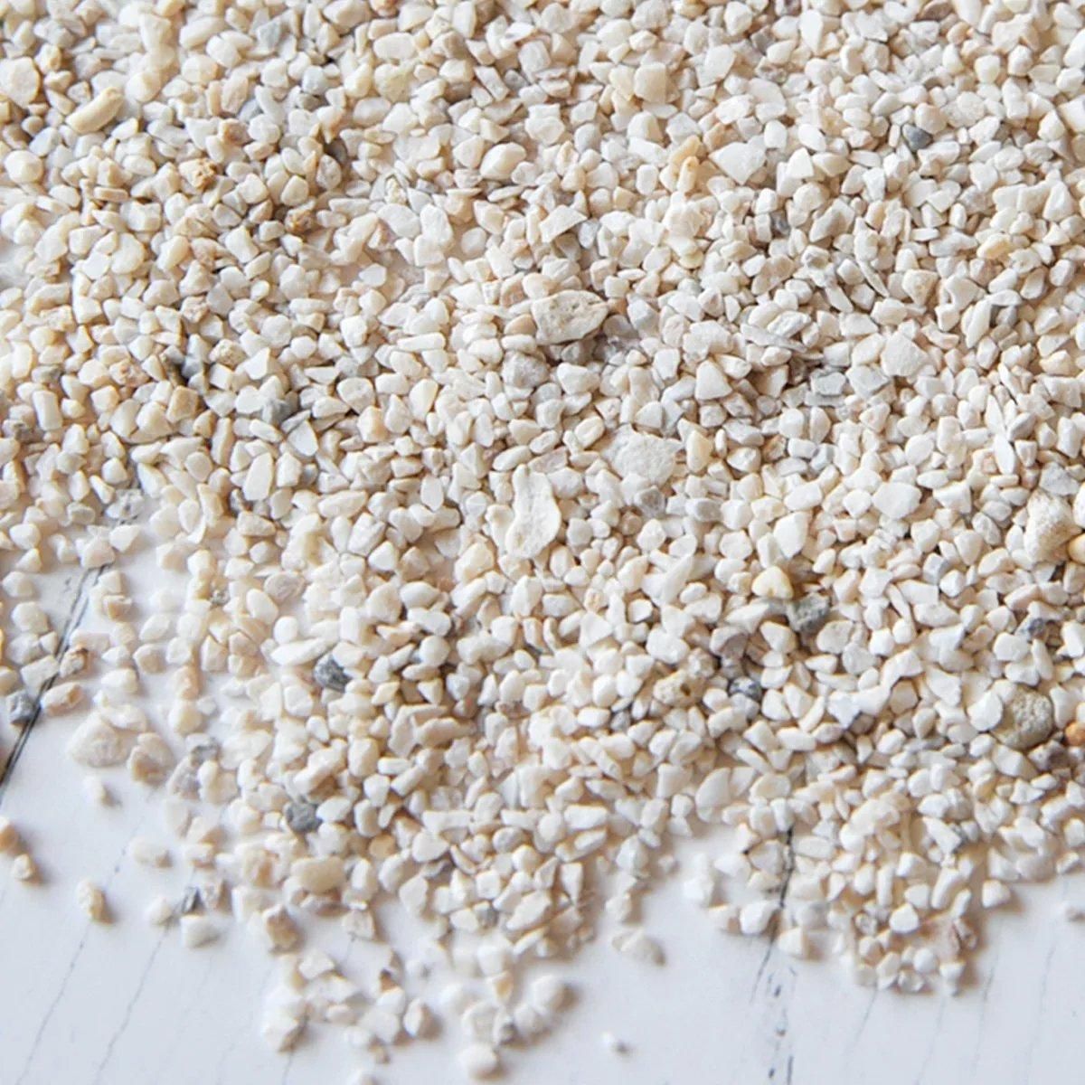 本物のサンゴのかけら＆海の砂ミックス 20g- 手作り雑貨屋