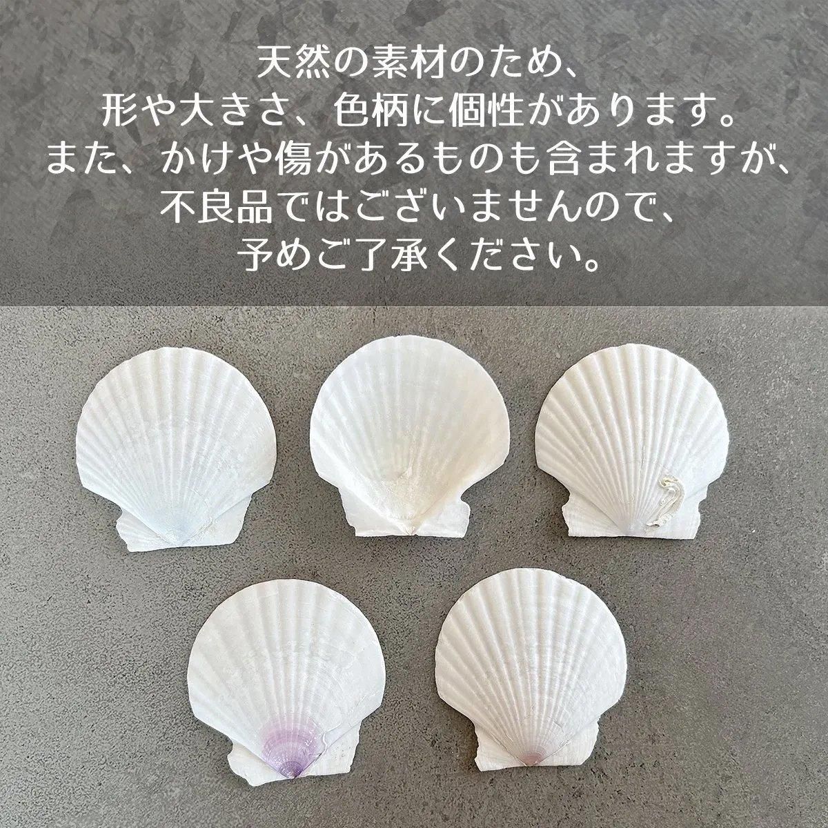 お皿に☆天然ホタテ貝殻 2枚 夏休み工作 90559181_o4.jpg?cmsp_timestamp