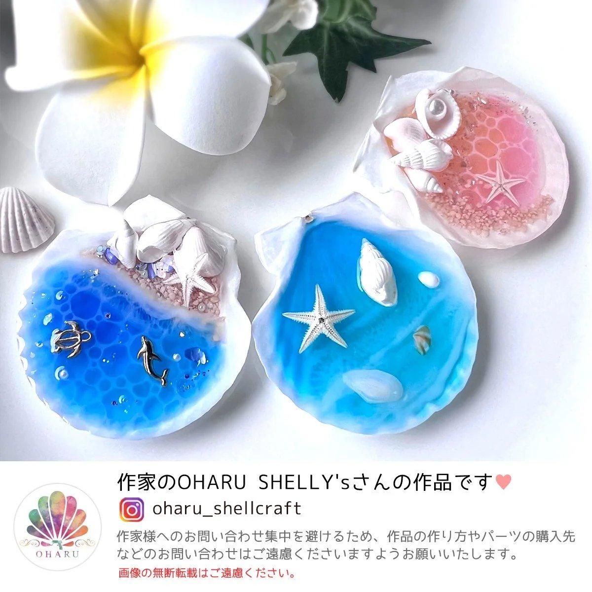 5枚 本物のホタテ貝 ちょこっと大きめ♪- 手作り雑貨屋 * 雑貨 5枚 本物のホタテ貝 ちょこっと大きめ♪- 手作り雑貨屋 * 雑貨