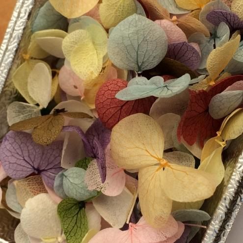 紫陽花44訳ありアジサイドライフラワー 紫陽花44訳ありアジサイドライフラワー 生花】輸入アジサイ(ライト