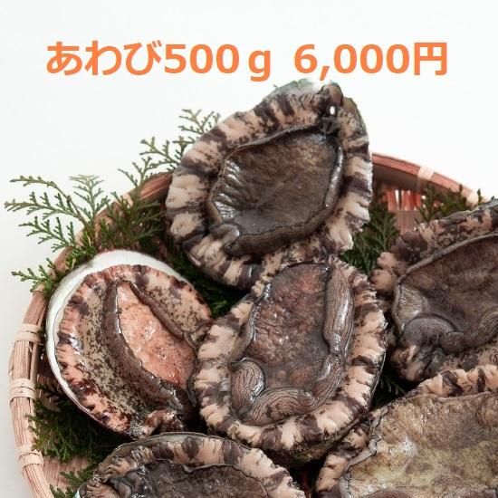 送料&加工料込 隠岐産鮑貝殻19センチ×16センチ - 通販 - www