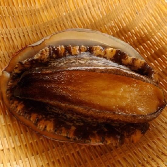 隠岐からお届け 天然活あわび 1枚 約0g 2 000円 隠岐からお届け 天然活あわび 1枚 約0g 2 000円