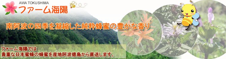 日本蜜蜂 蜂蜜 販売、お米の通販　農家直送 四国徳島県産【ファーム海陽】