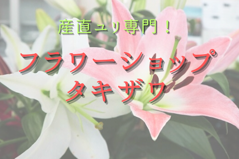 »ºÄ¾¥æ¥êÀìÌ硪¥Õ¥é¥ï¡¼¥·¥ç¥Ã¥×¡¡ ¥¿¥¥¶¥ï